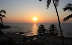 Visiting Goa? Here’s What To Do And Where To Stay!