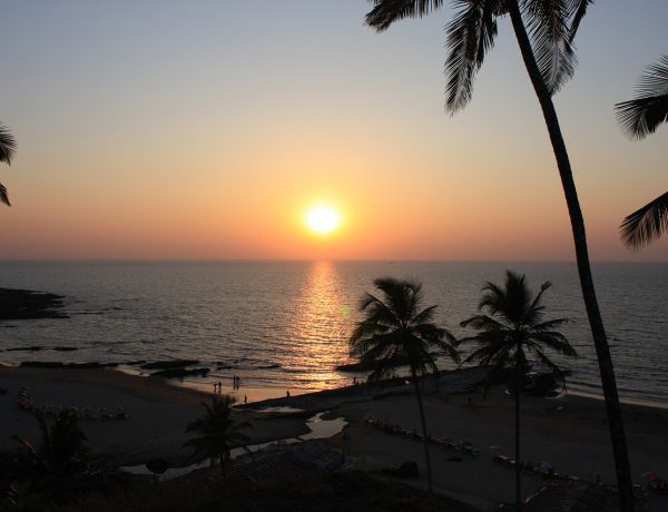 Visiting Goa? Here’s What To Do And Where To Stay!