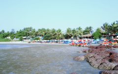 - New Year's Eve in Goa: How to Make the Most of the Celebration