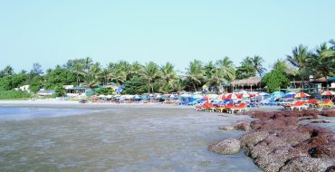 - New Year's Eve in Goa: How to Make the Most of the Celebration