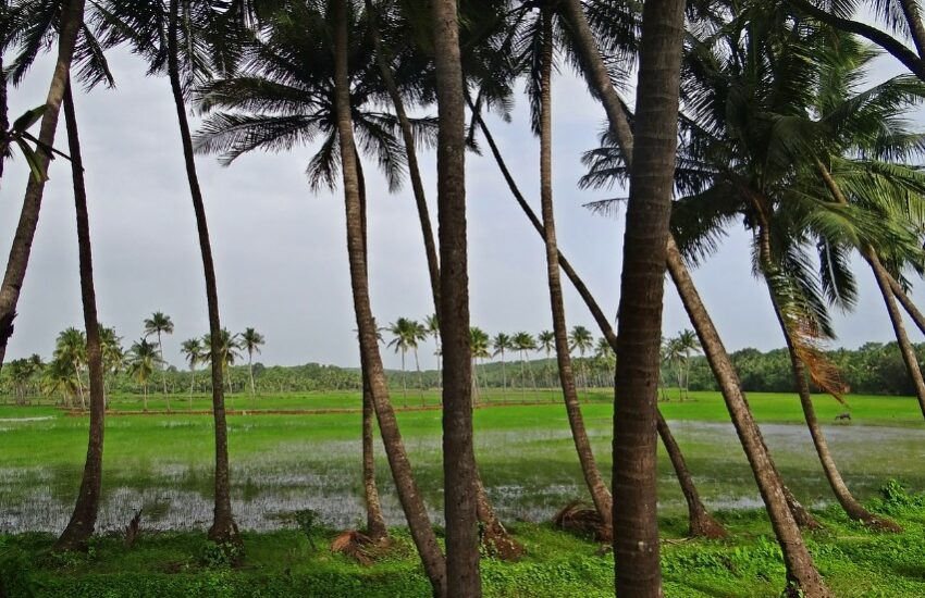 goa visit tips