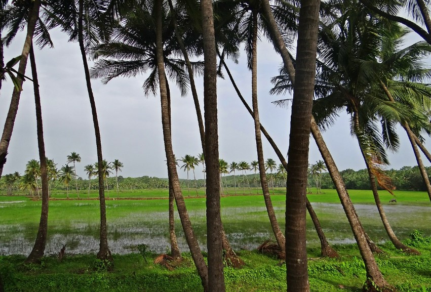 goa visit tips